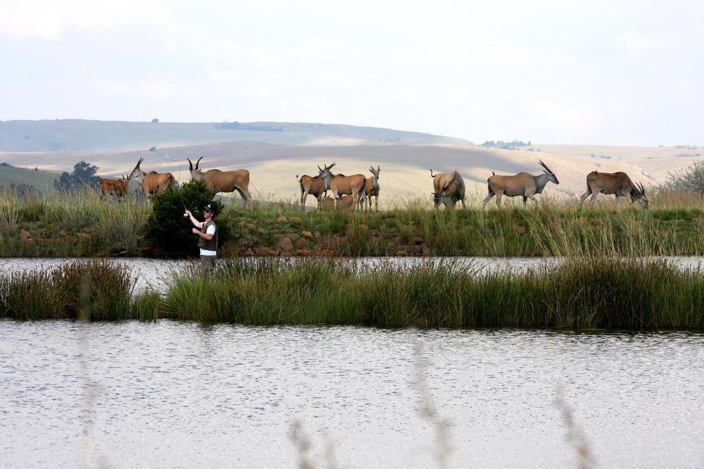 Elandskloof Trout Farm Guest House Dullstroom Bagian luar foto
